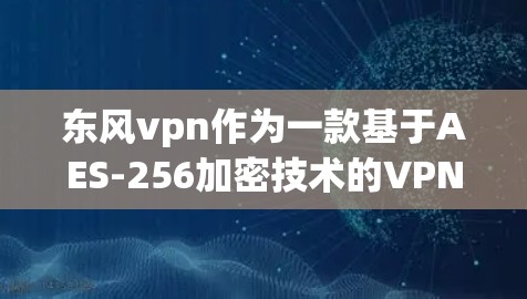 东风vpn作为一款基于AES-256加密技术的VPN工具，以其安全性和高效性著称。以下是其安全性的一些主要特点和考虑因素